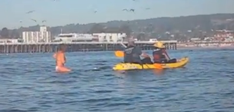 Surfer Almost Swallowed By Whale